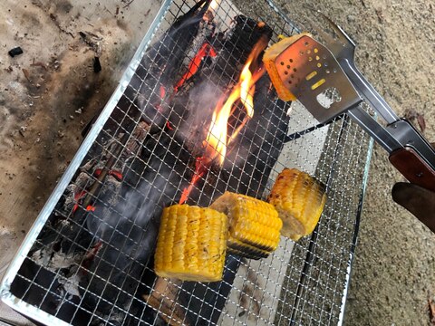 キャンプ飯♪とうもろこしの焚き火焼き